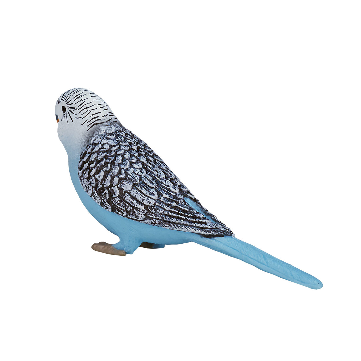 Mojo Ackerland Wellensittich blau - 387292