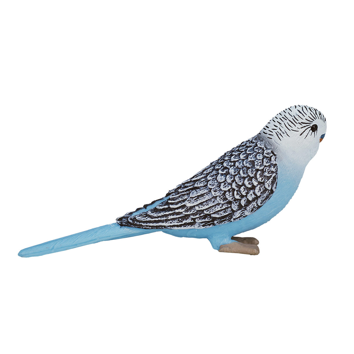 Mojo Ackerland Wellensittich blau - 387292