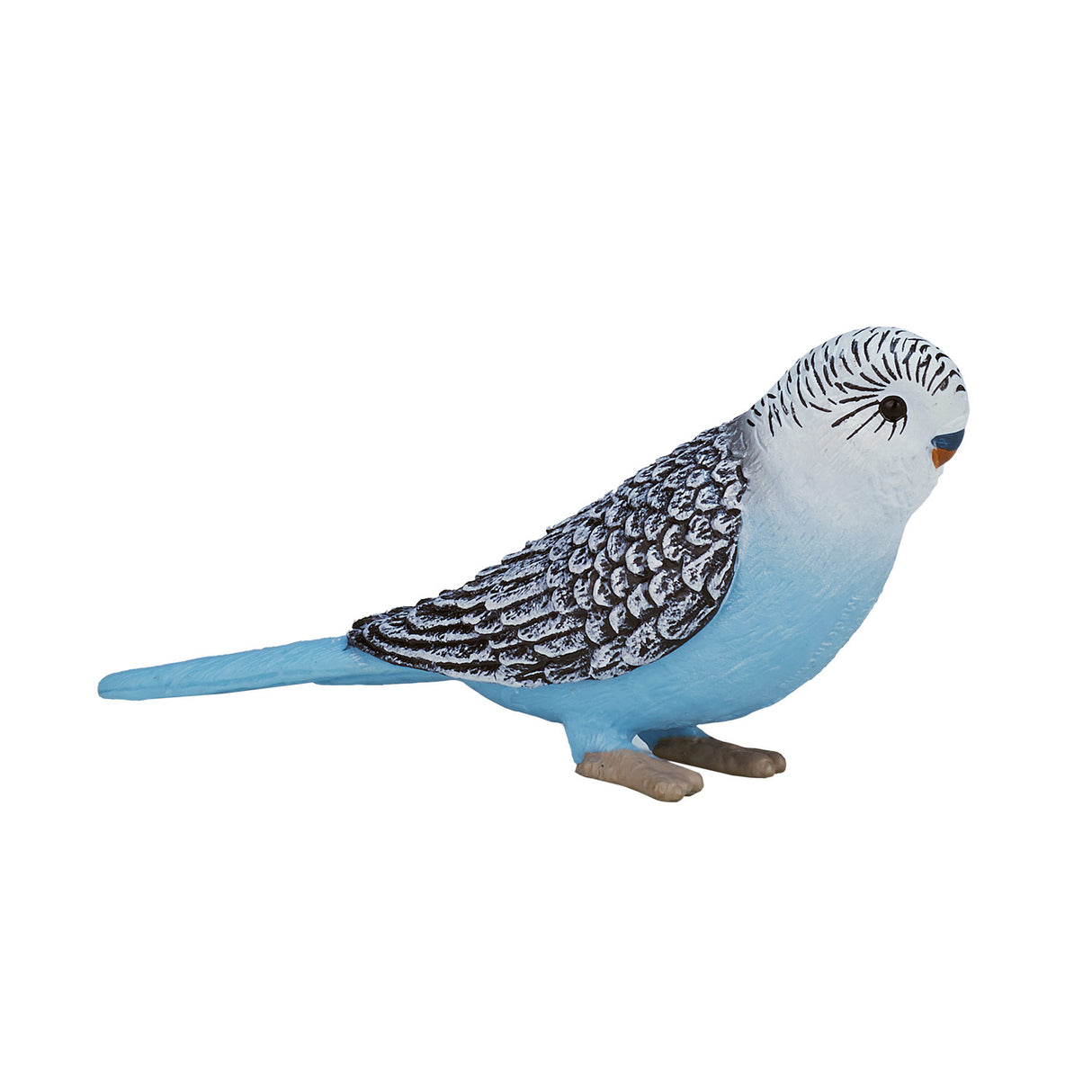 Mojo Ackerland Wellensittich blau - 387292