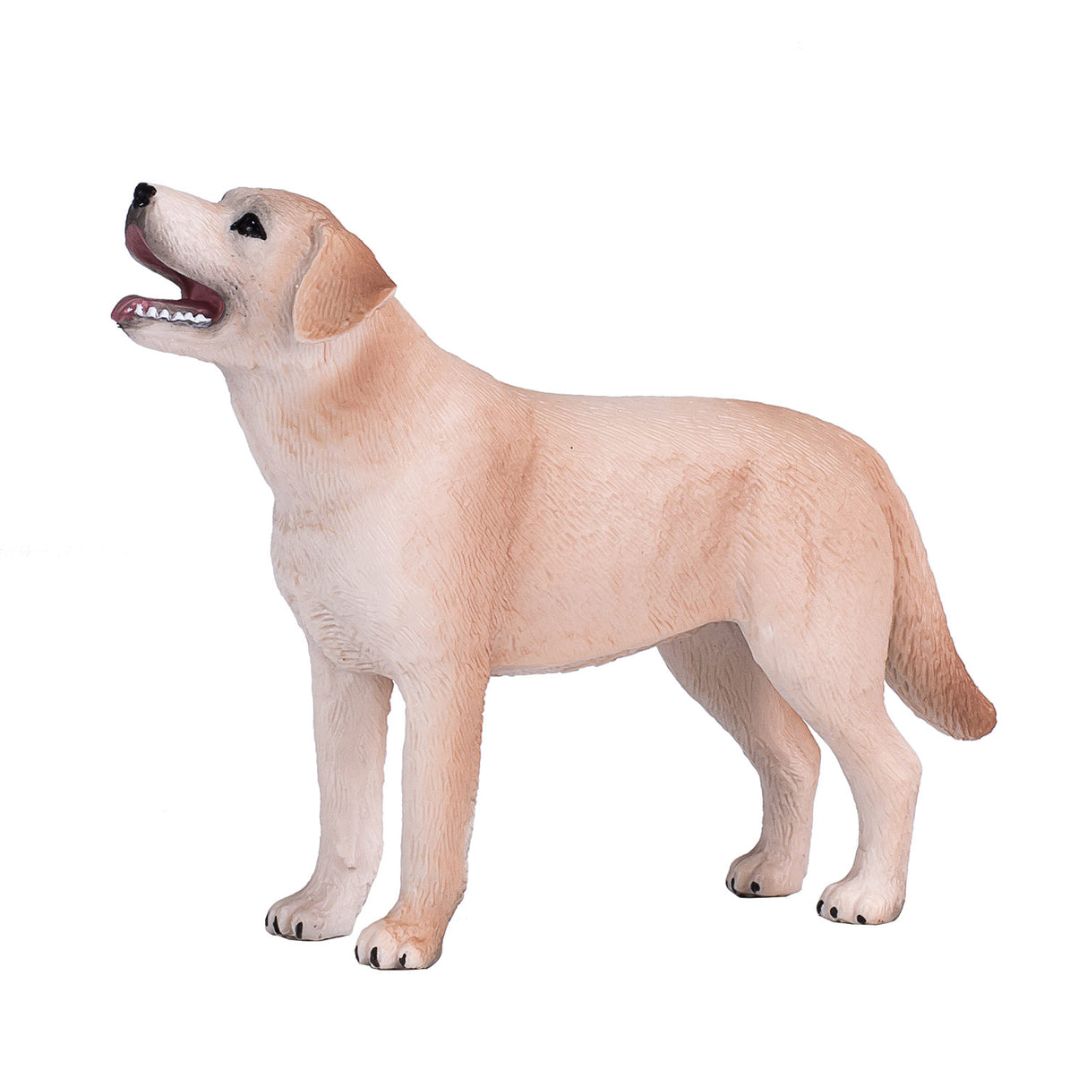 Mojo Ackerland Labrador – 387271