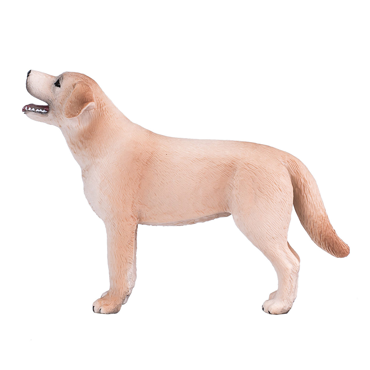 Mojo Ackerland Labrador – 387271