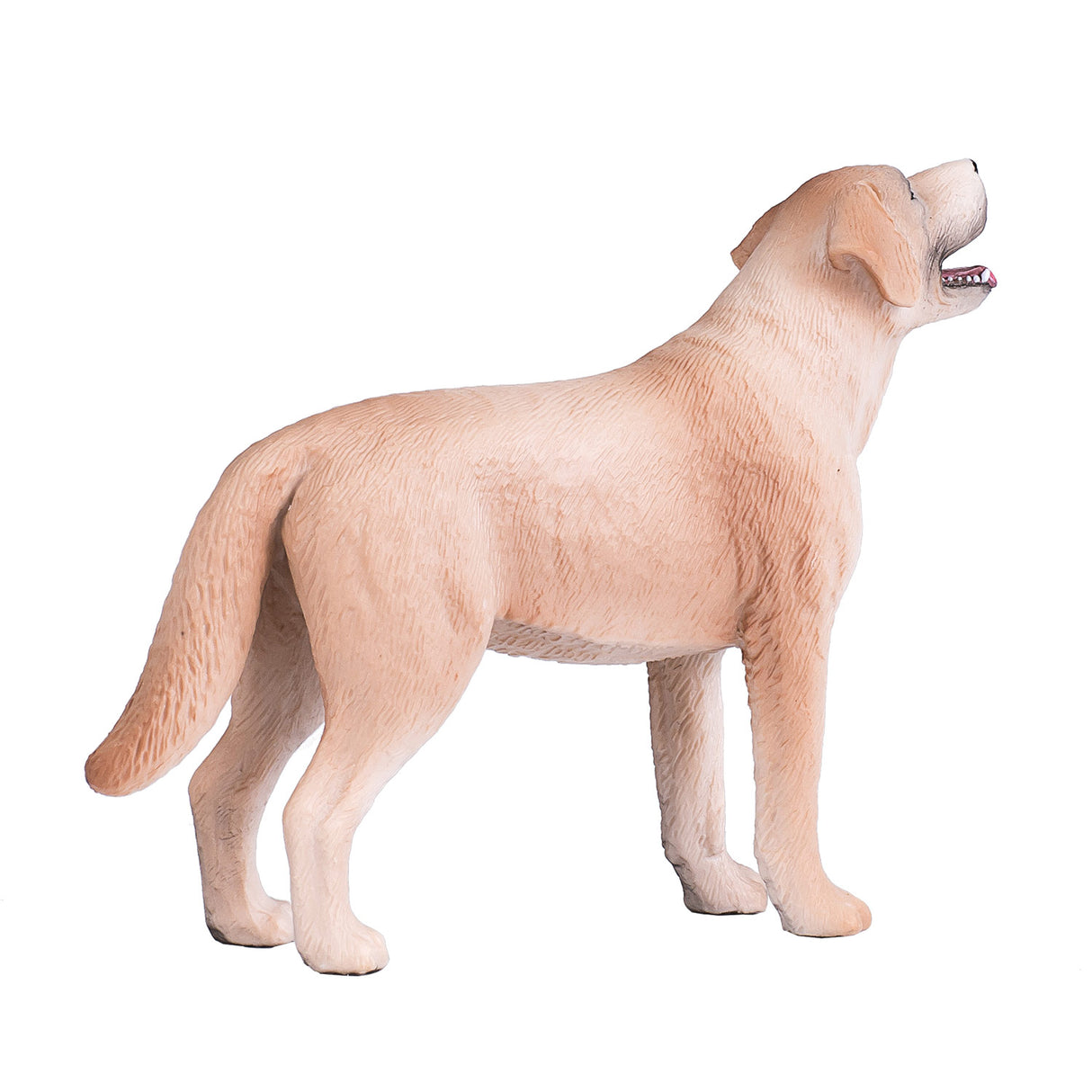 Mojo Ackerland Labrador – 387271
