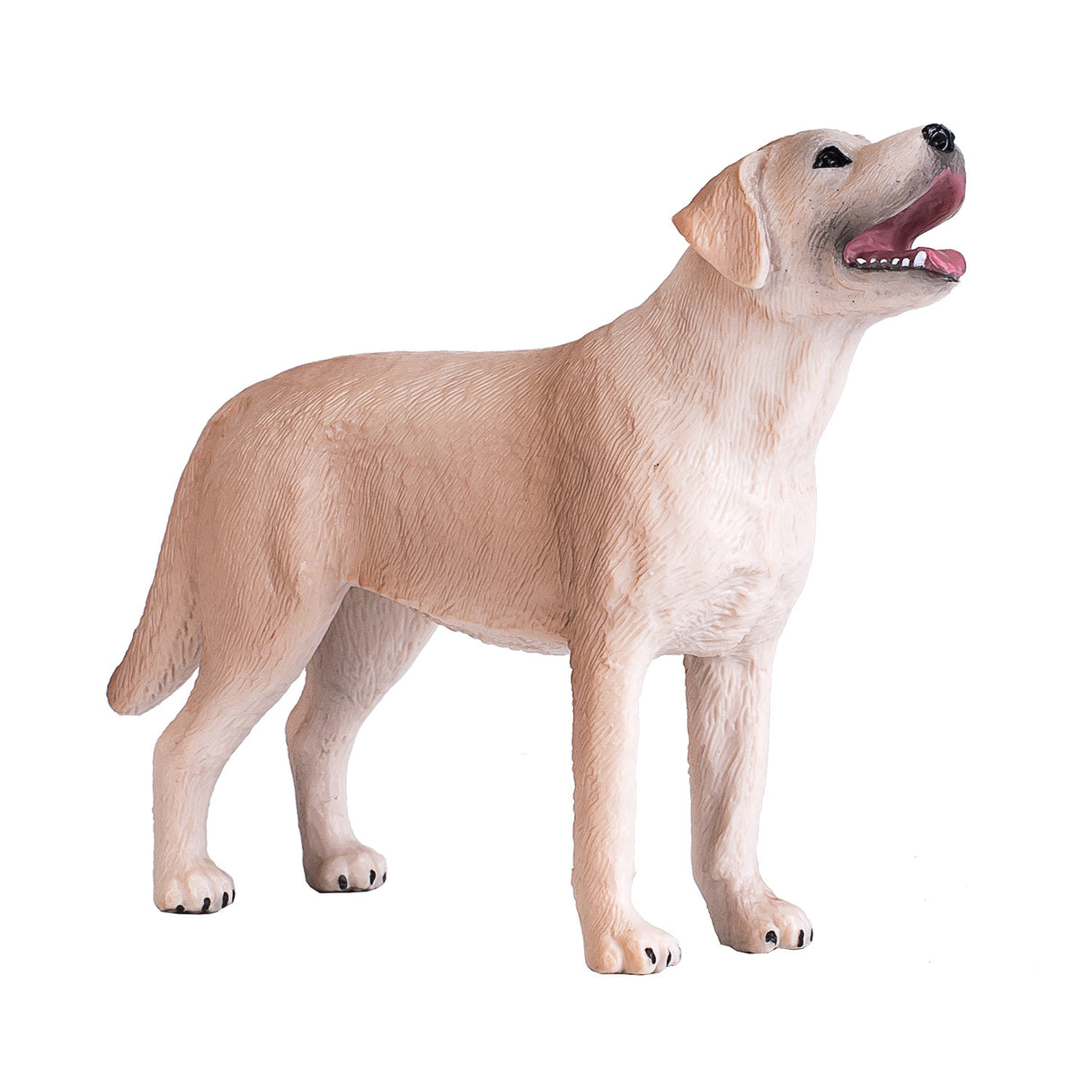 Mojo Ackerland Labrador – 387271