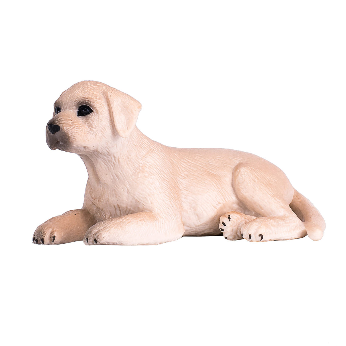 Mojo Ackerland-Labrador-Welpe – 387272