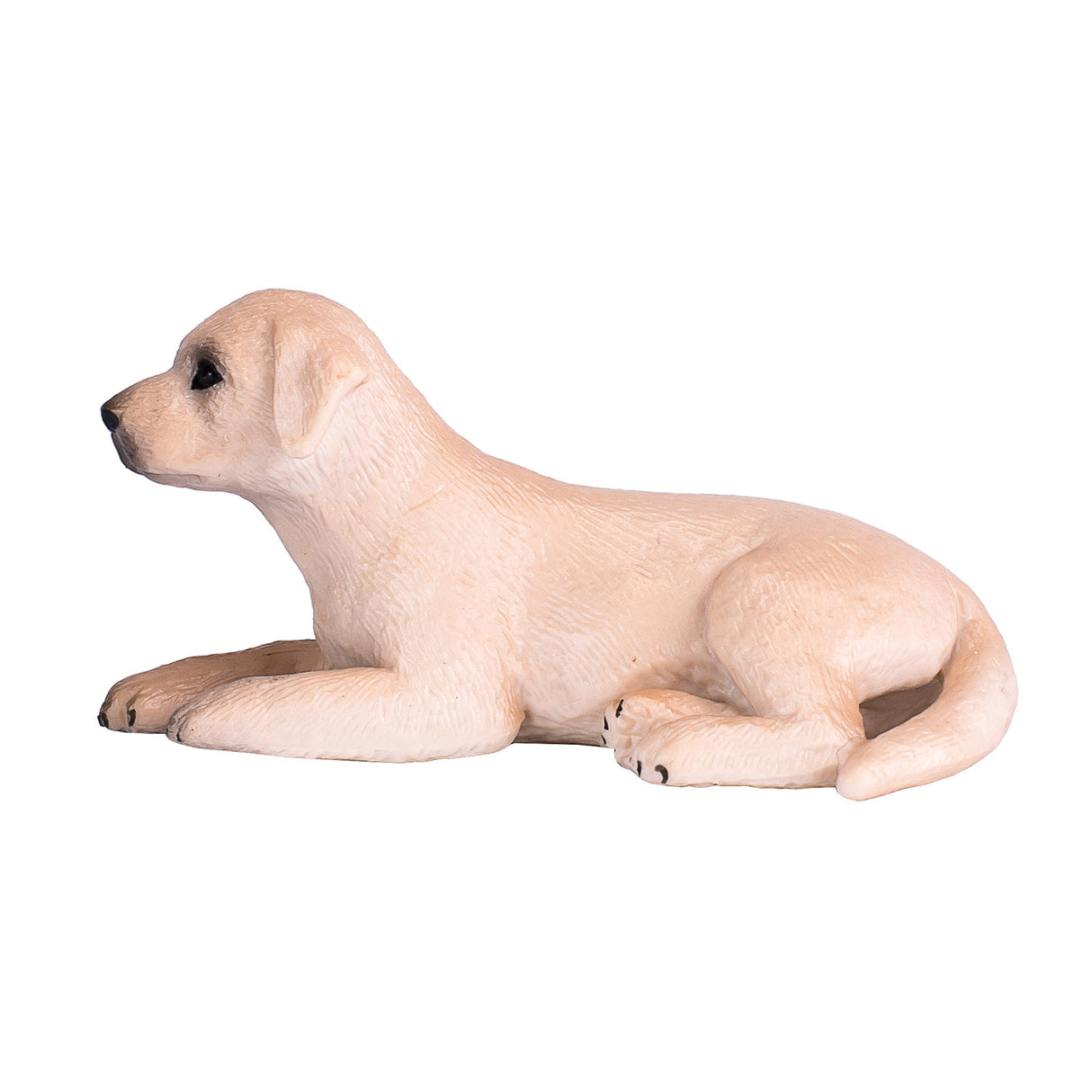Mojo Ackerland-Labrador-Welpe – 387272