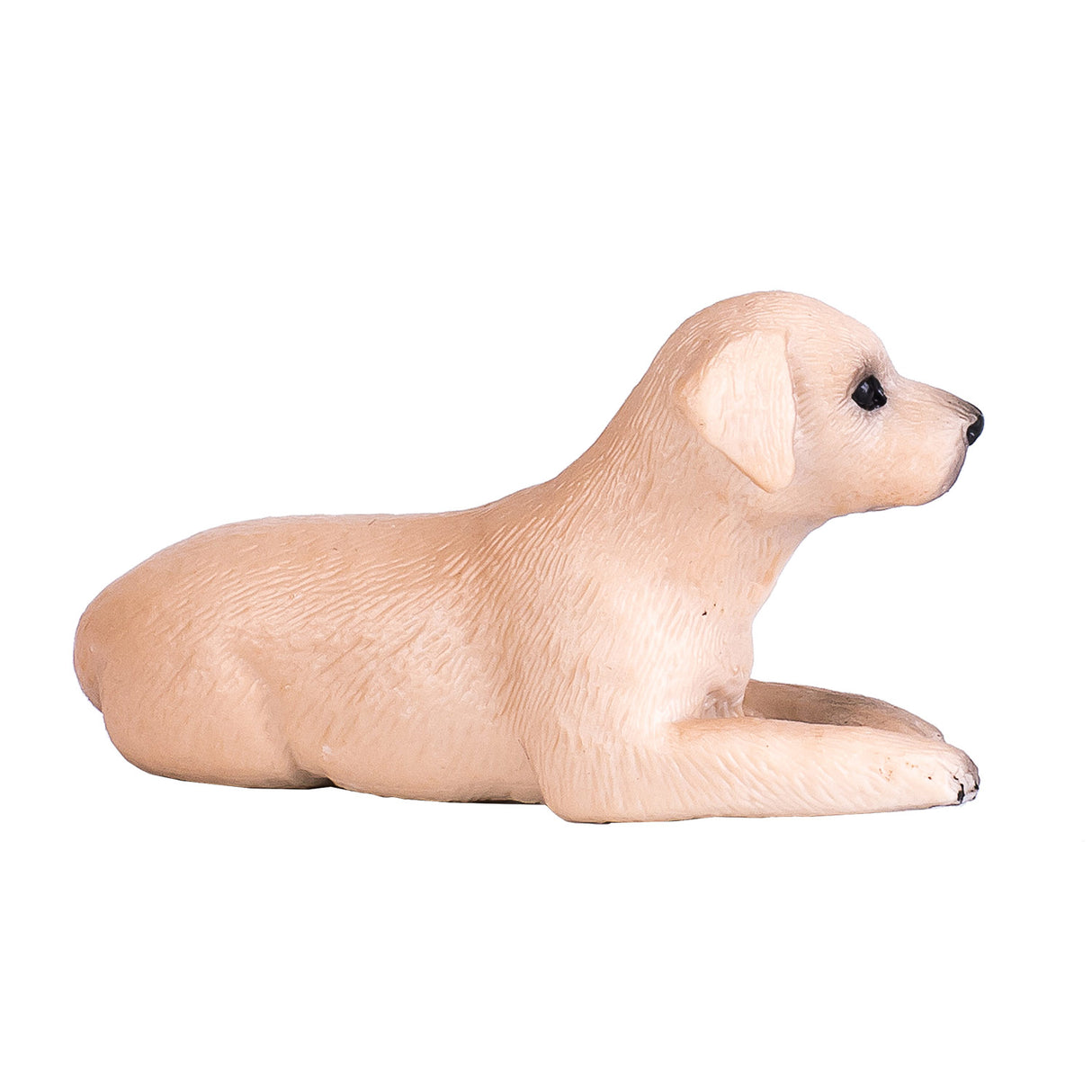 Mojo Ackerland-Labrador-Welpe – 387272