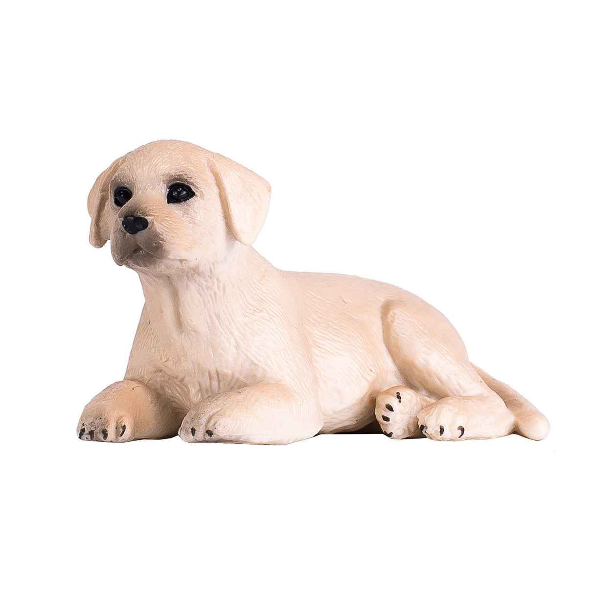 Mojo Ackerland-Labrador-Welpe – 387272