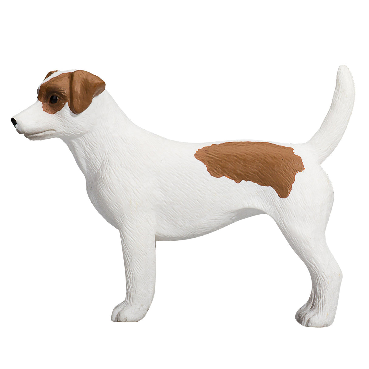 Mojo Ackerland Jack Russell Terrier – 387286