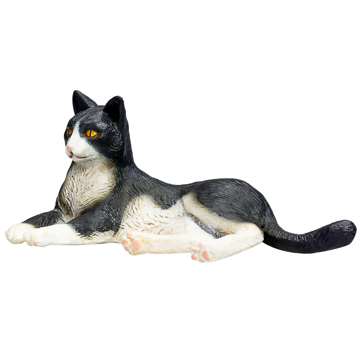 Mojo Ackerland liegende Katze schwarz und weiß – 387367