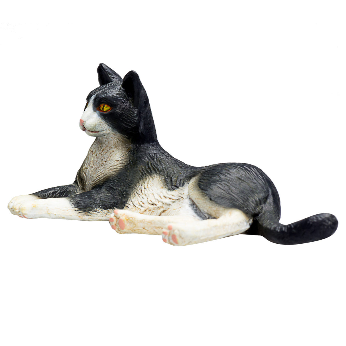 Mojo Ackerland liegende Katze schwarz und weiß – 387367