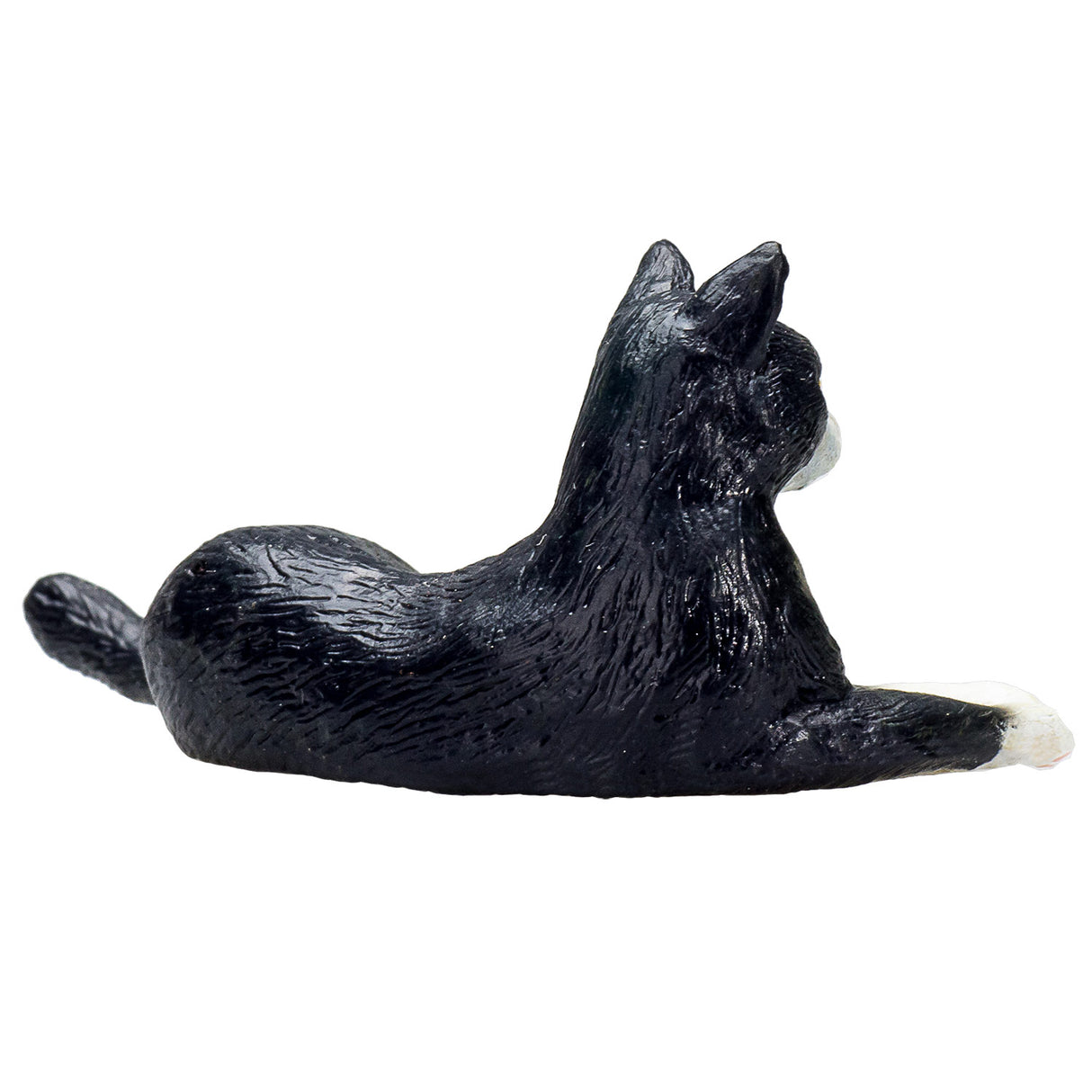 Mojo Ackerland liegende Katze schwarz und weiß – 387367