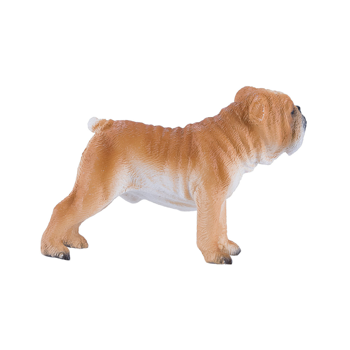 Mojo Farmland Englische Bulldogge – 381053