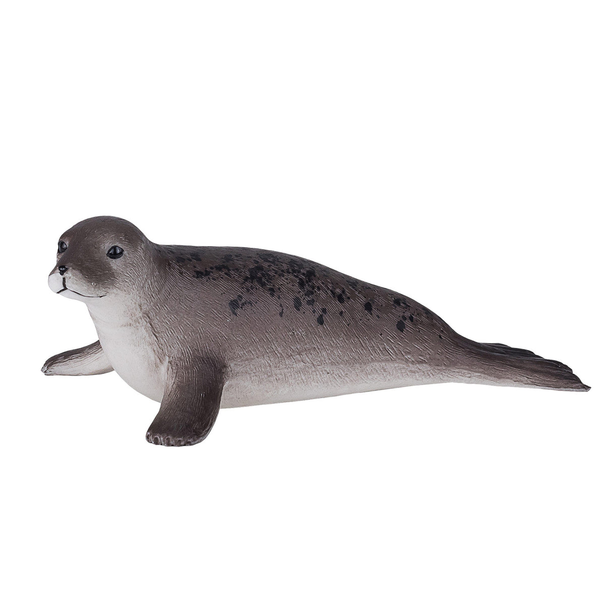 Mojo-Ackerland-Kegelrobbe – 387091