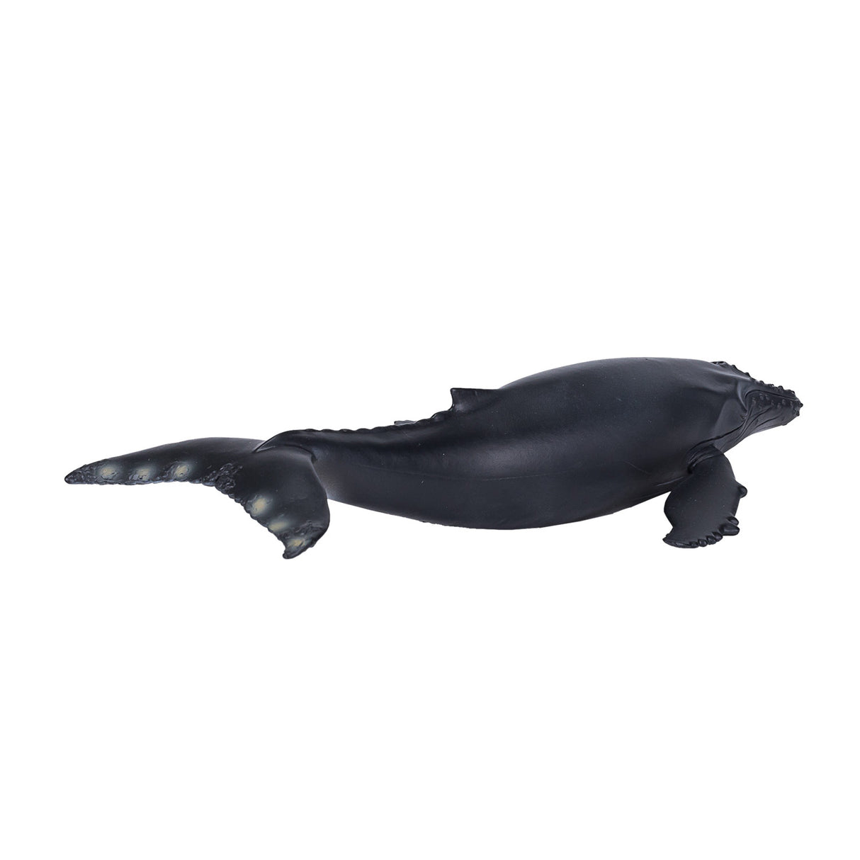 Mojo Sealife Buckelwal – 387119