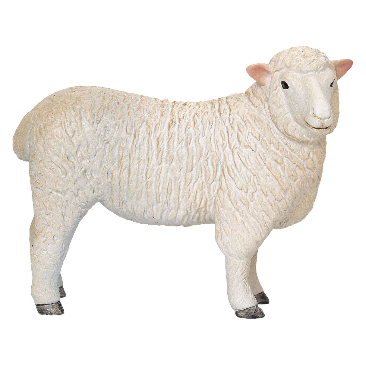 Mojo Ackerland Romney Schaap ooi - 381064