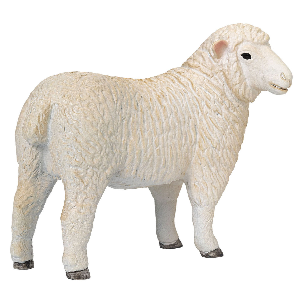 Mojo Ackerland Romney Schaap ooi - 381064