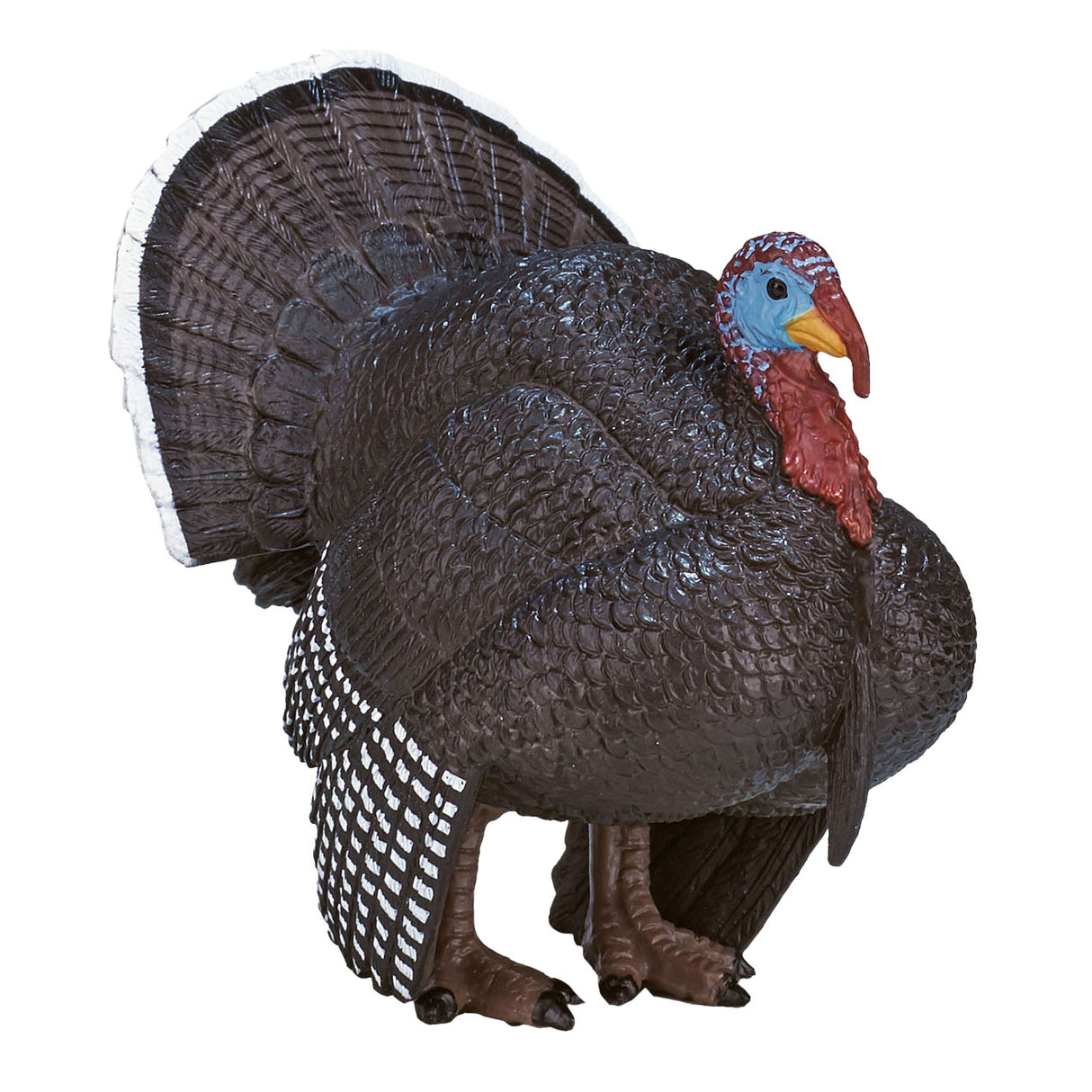 Mojo Ackerland männlicher Türkei - 387285