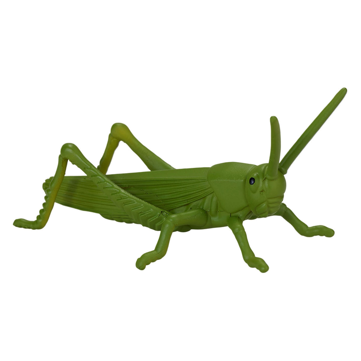 Mojo Wildlife Mini Insekten und Spinnen, 12dlg. - 380058