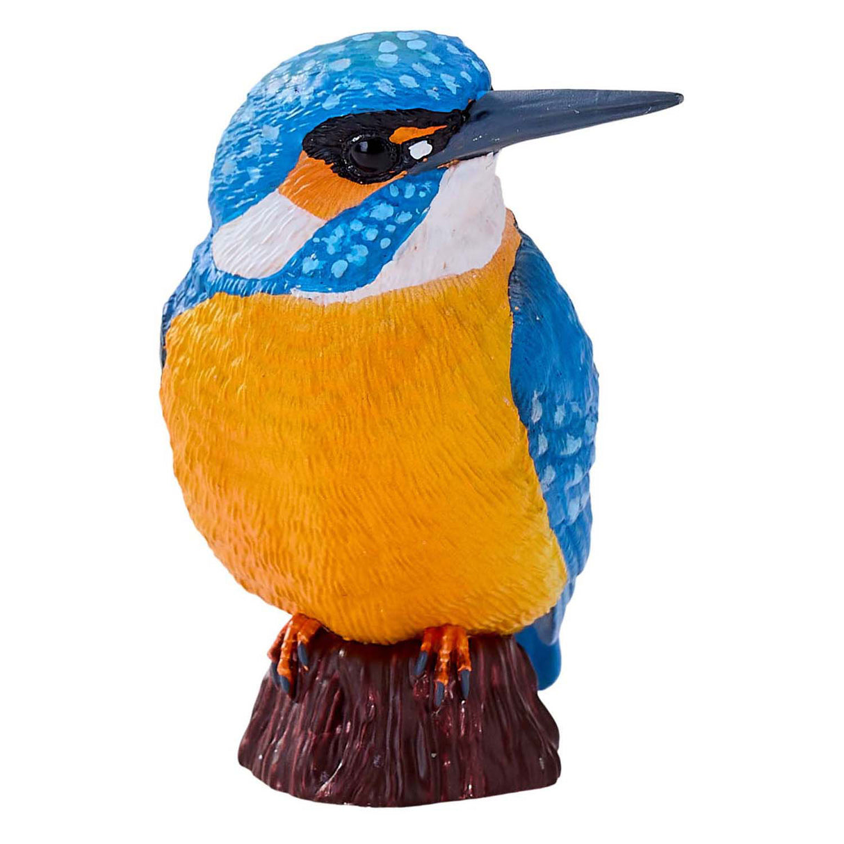 Mojo-Ackerland-Eisvogel - 381116