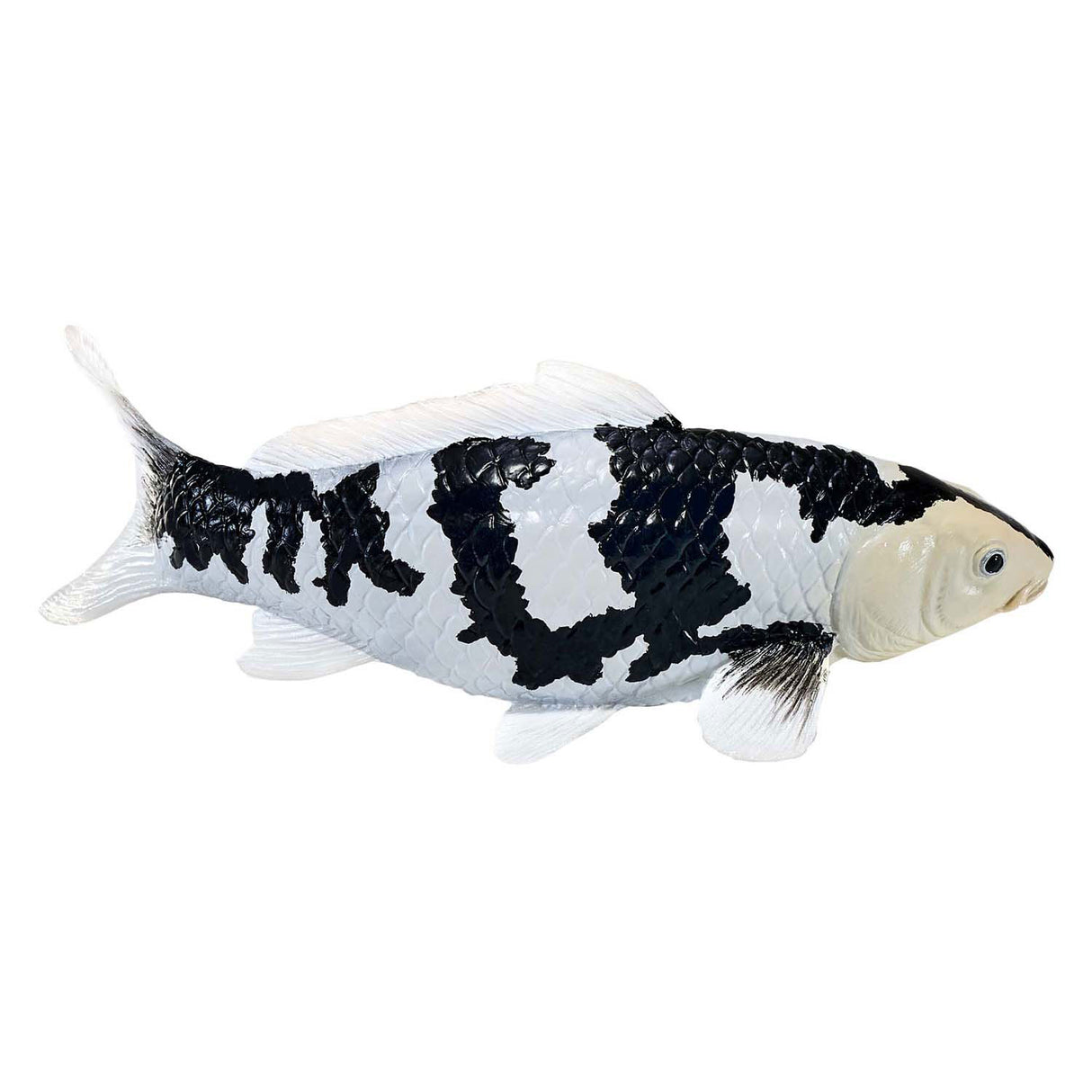 Mojo Sealife Koi-Karpfen – Shiro Utsuri Koi – 381102