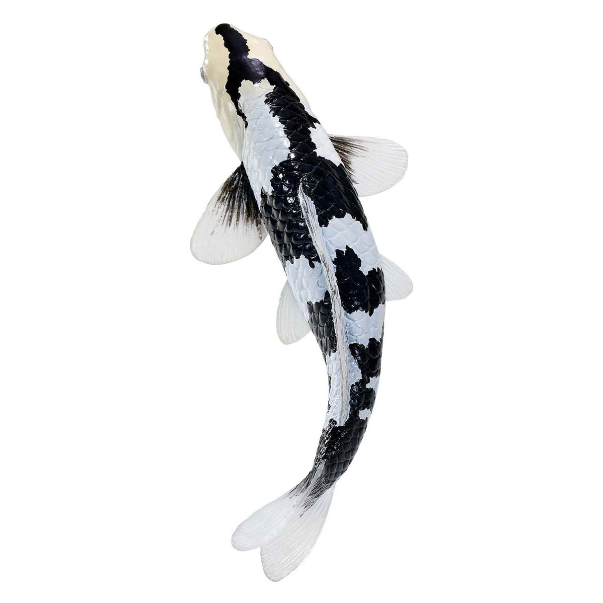 Mojo Sealife Koi-Karpfen – Shiro Utsuri Koi – 381102