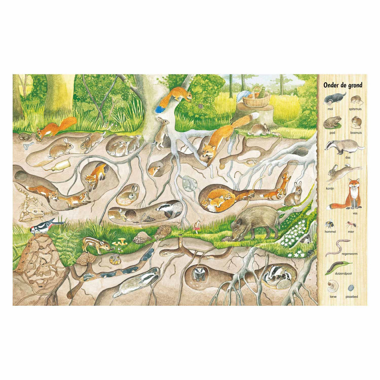 Deltas Such- und Suchbuch – im Wald