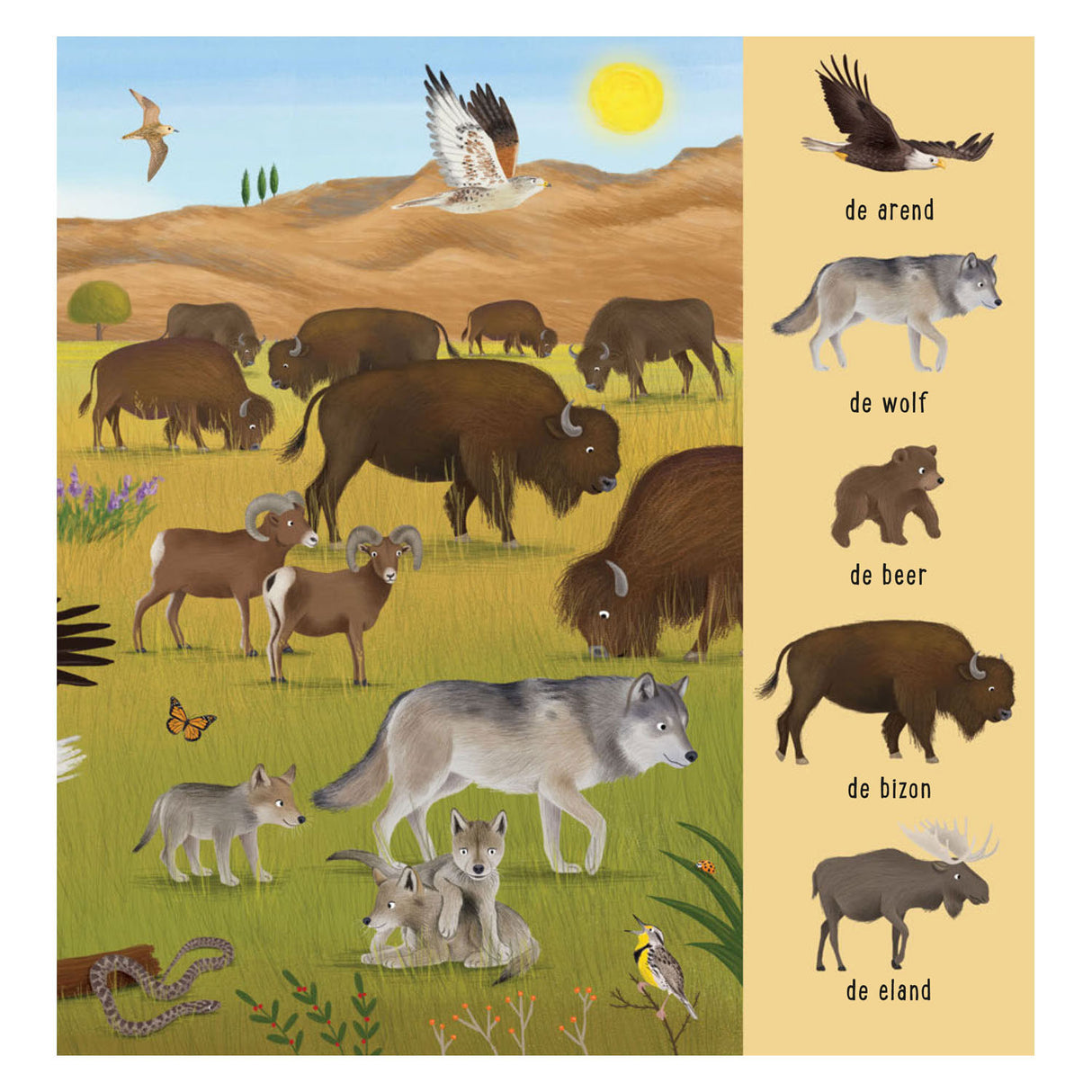 Deltas mein erstes Suchbuch – Tiere aus aller Welt