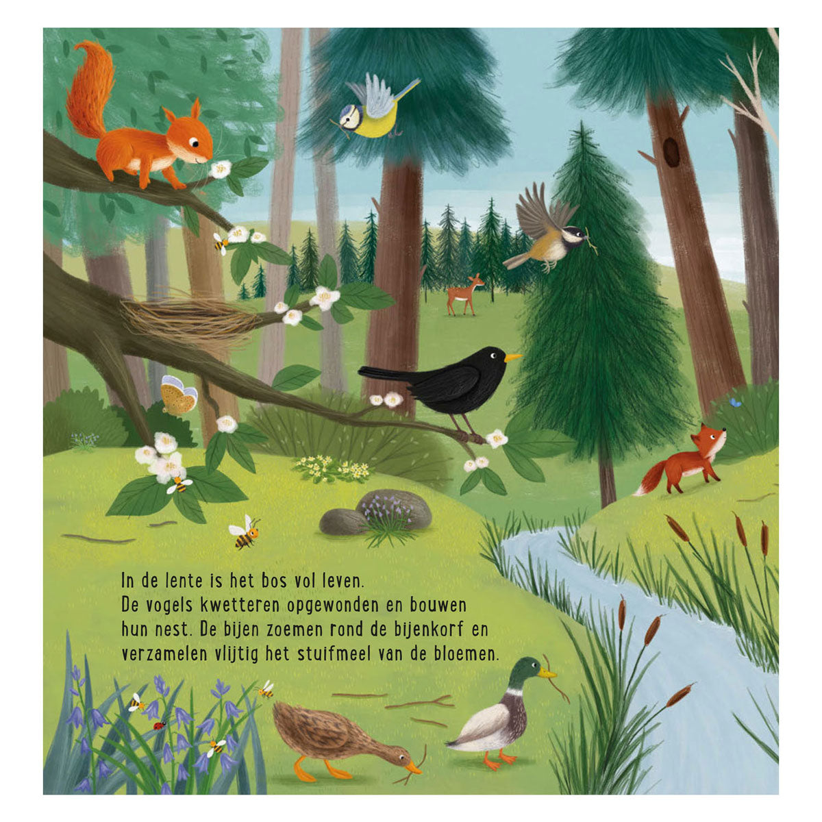 Deltas mein erstes Suchbuch – Tiere im Wald
