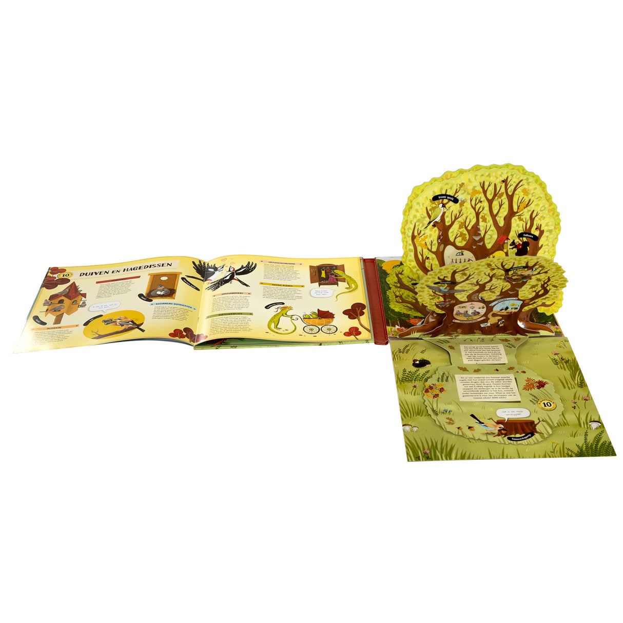 Book Specials Netherlands BV Falt- und Klappbuch im Baum