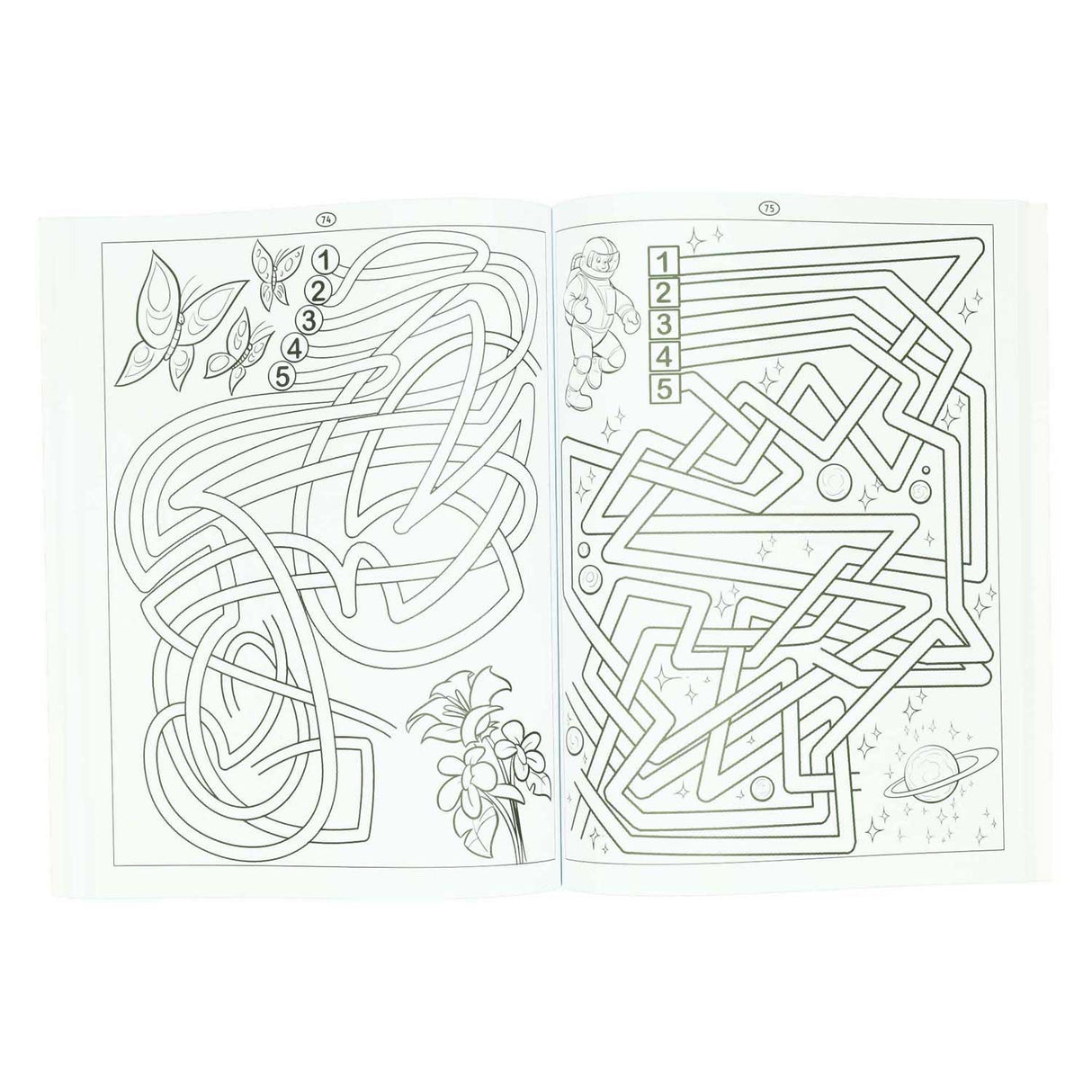 Gewinnt das Holland-Labyrinth-Buch – 115 Labyrinthe