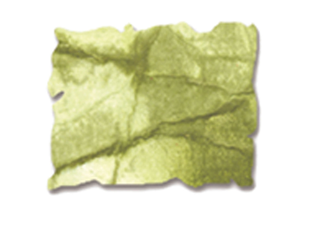 Ranger Tinte Ranger • Tim Holtz Distress Spray Stain abgelöste Farbe