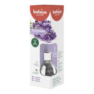 Bolsius | 3 Stück