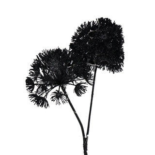 No brand Kunstblume Heracleum Countryfield LED schwarz 75 cm