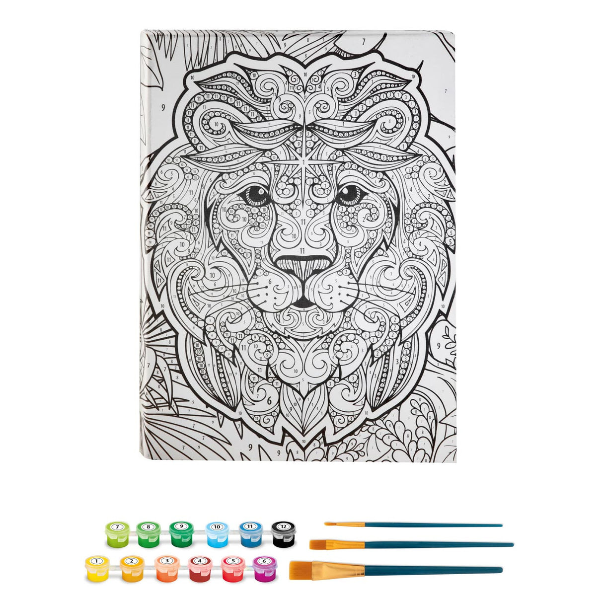 Malen nach Nummer Canvas - Leeuw