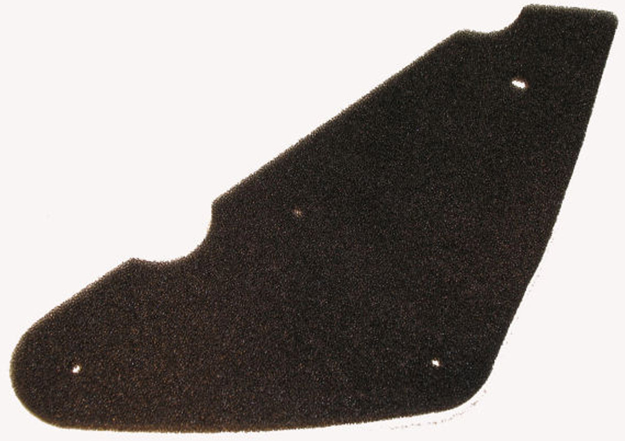 CIF -Luftfilterelement Raubtier Atlantis