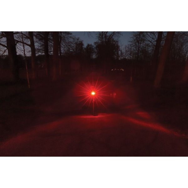 Axa Trägerrücklicht Juno E-Bike 6-12 Volt 80 mm - Rot