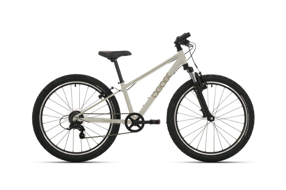 Bikefun Fahrrad 20 das Biest 6v