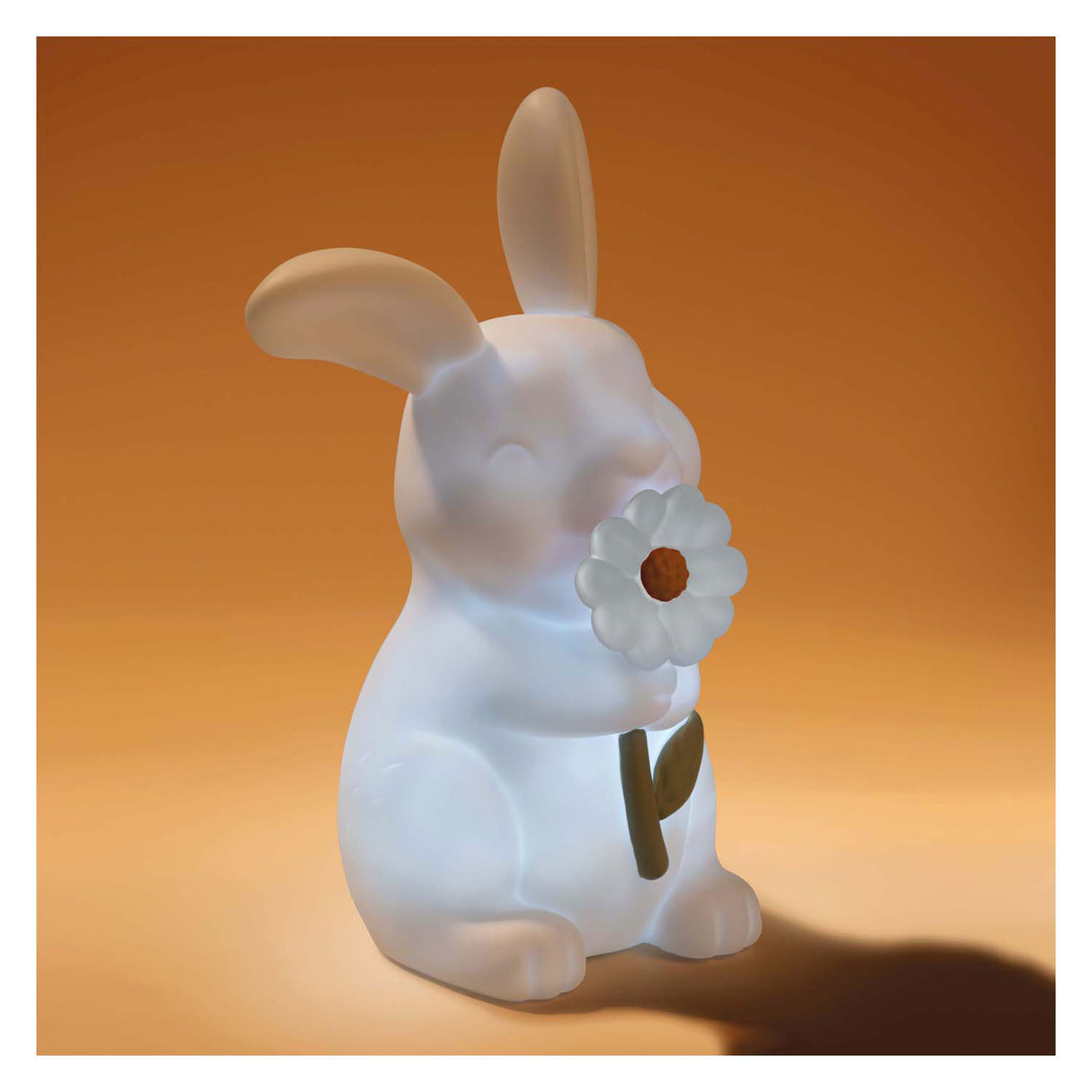 Kleines holländisches Nachtlampen-Kaninchen