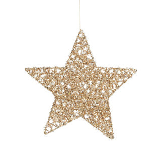 Edelman Ornament Stern Champagner - D25cm | 6 Stück