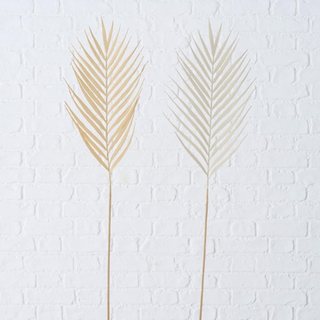 Boltze Home Kunstzweig Dekozweig 90cm Palmblatt natur