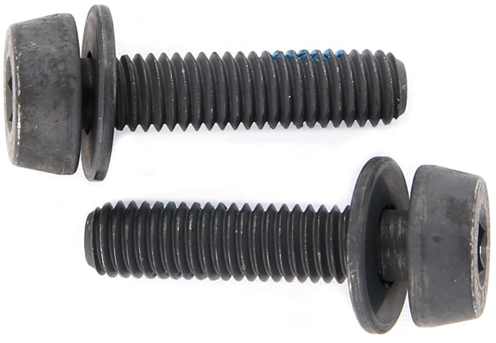 Campagnolo Befestigungsschrauben für Scheibenbremsen (2er Pack)