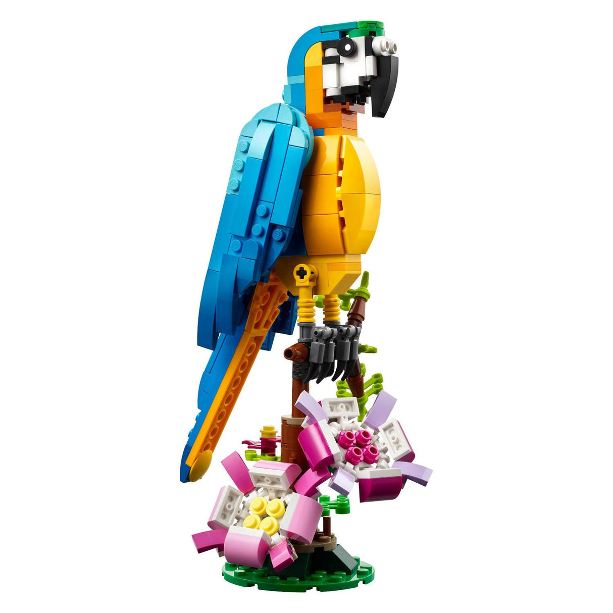 Lego Creator 3in1 exotisches Papageien-Frosch-Fisch-Tierspielzeugset für Kinder – 31136