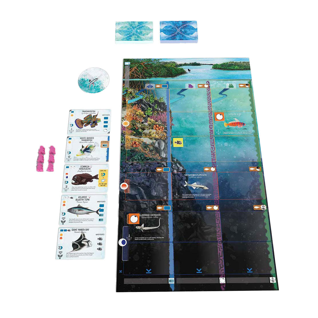 999Games 999 Games Finspan Brettspiel