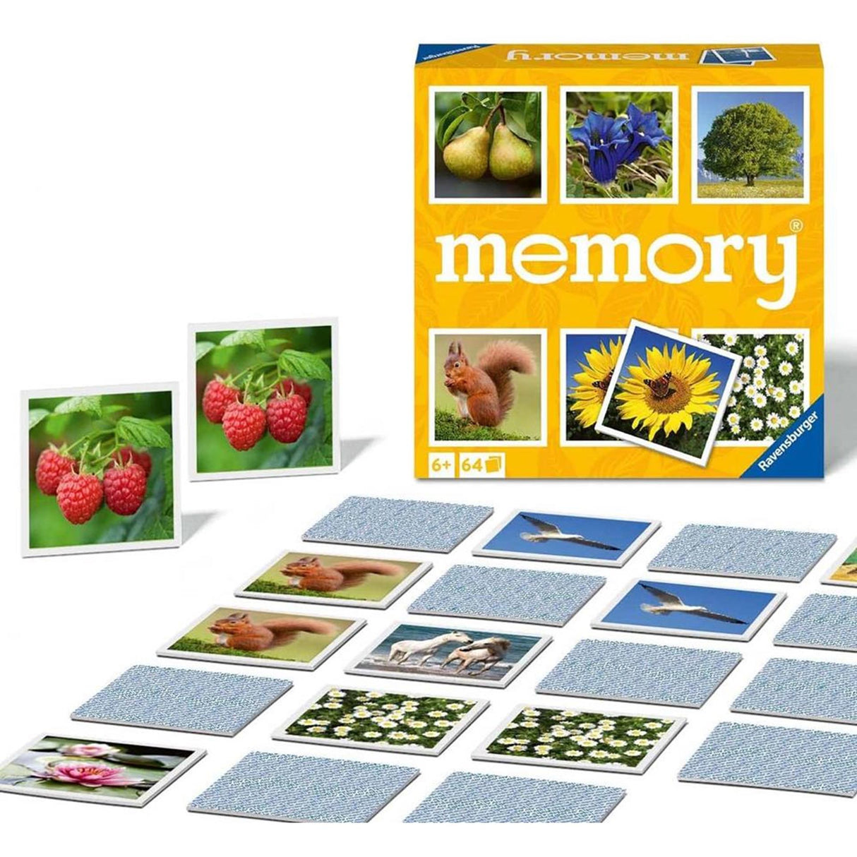Ravensburger Naturgedächtnis