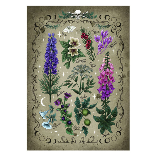Ravensburger Jigsaw Puzzle GiftPflanen, 1000st.