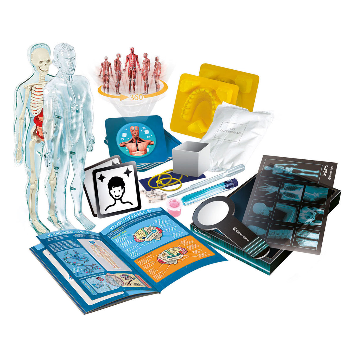 Clementoni Wissenschaftsspiel – Superanatomie – Der menschliche Körper – Lernspielzeug – ab 8 Jahren