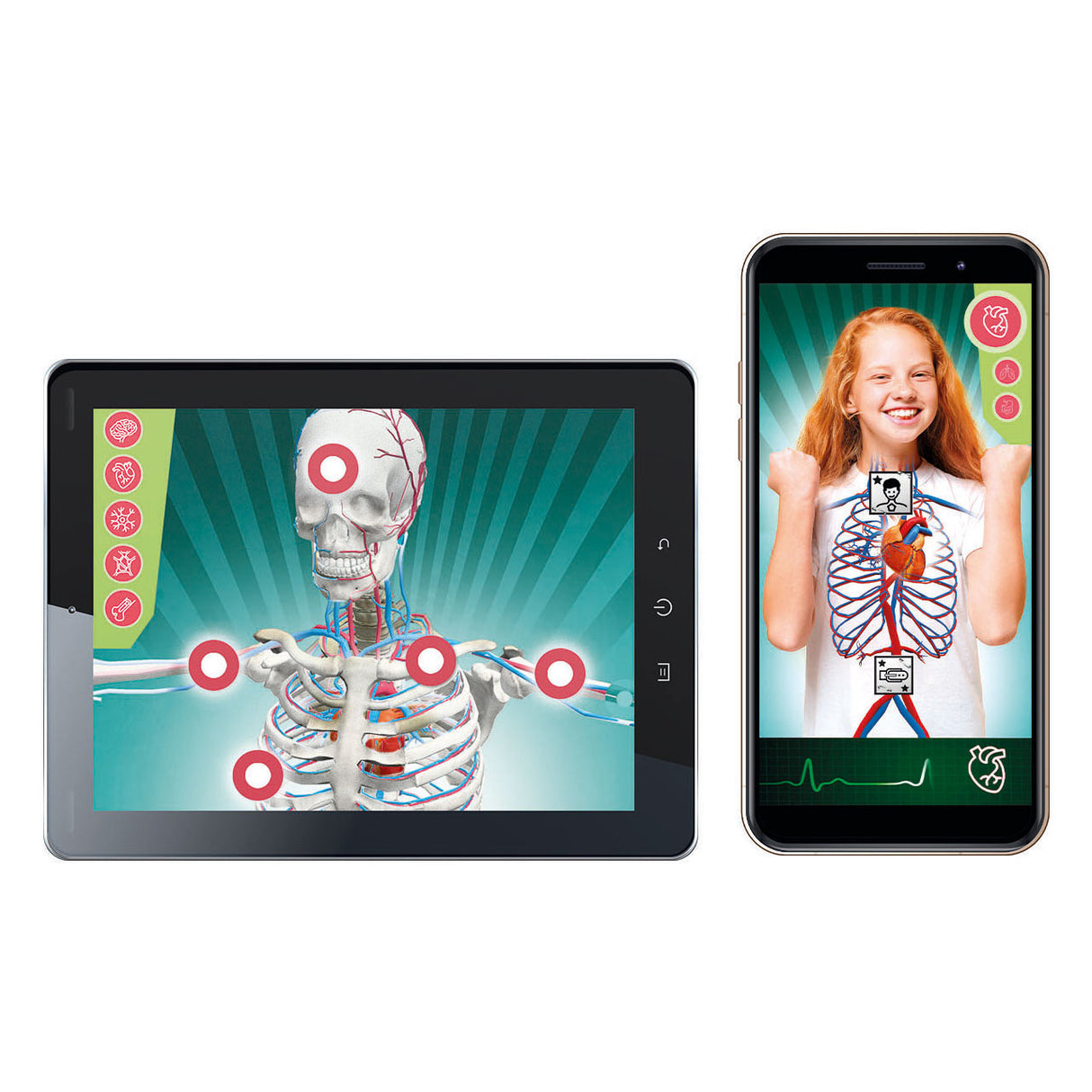 Clementoni Wissenschaftsspiel – Superanatomie – Der menschliche Körper – Lernspielzeug – ab 8 Jahren