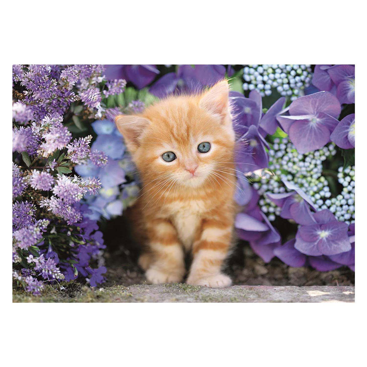 Clementoni clemetoni Puzzle Ingwerkatze, 500 Teile.