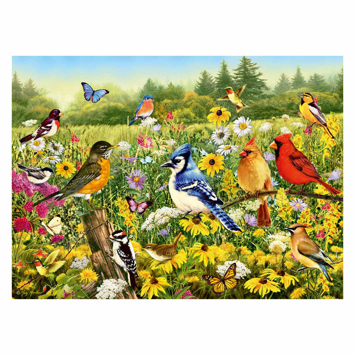 Ravensburger Vögel im Wiesenbein -Puzzle, 500st.