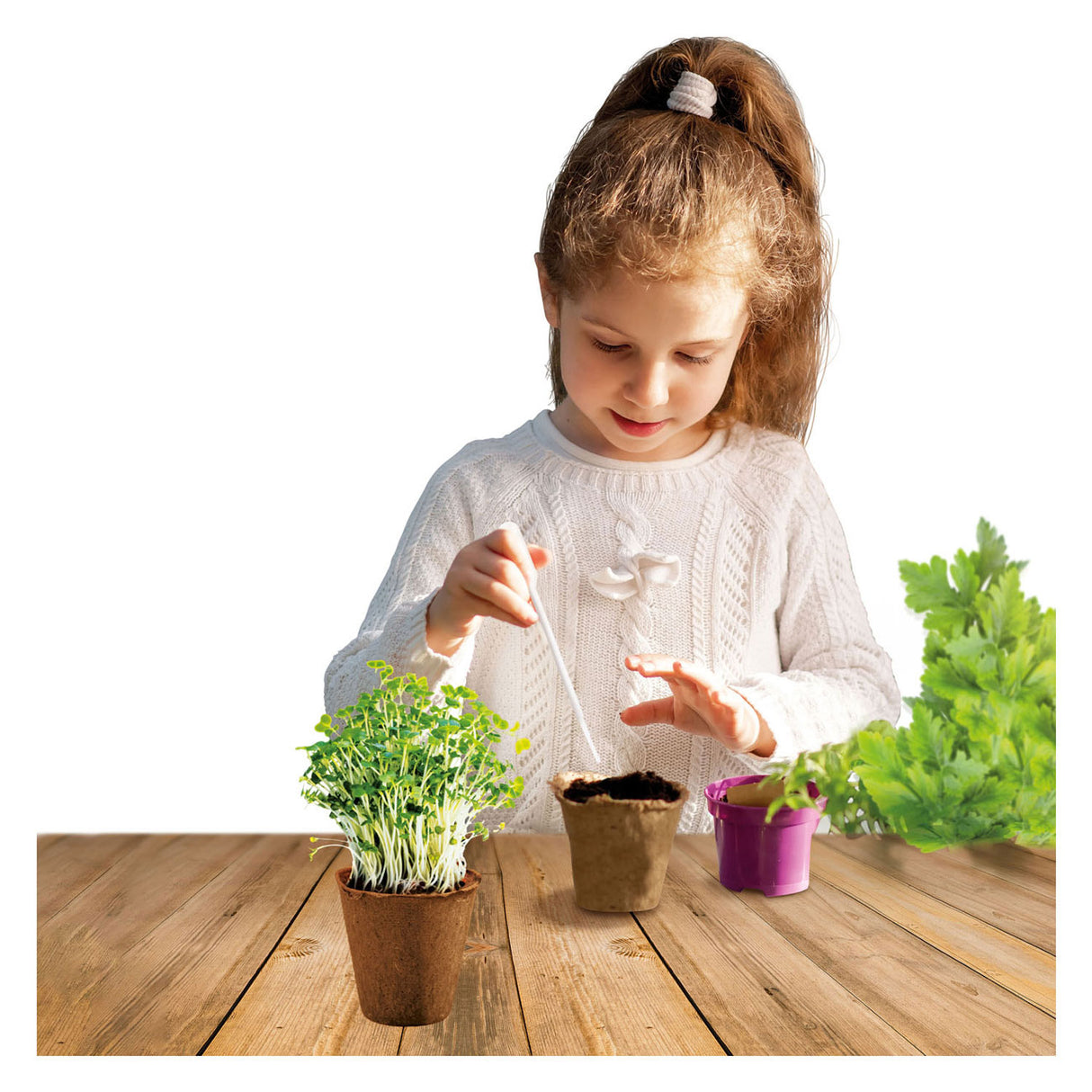 Wissenschaftlicher Kräutergarten von Kidscovery